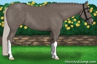 Horse Color:Silver Black 