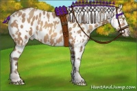 Horse Color:Amber Champagne Appaloosa  and Amber Champagne Appaloosa 