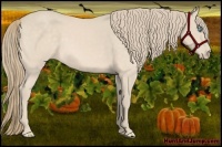 Horse Color:Perlino 