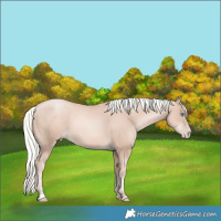 Horse Color:Gold Champagne Pearl Mushroom 