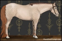 Horse Color:Buckskin Pearl 
