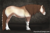 Horse Color:Brown Pearl Onyx Sabino Rabicano