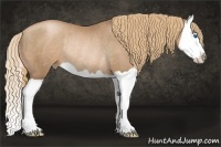 Horse Color:Liver Chestnut Pearl Splash Rabicano 