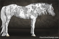 Horse Color:White Spotted Silver Black Chinchilla Ice