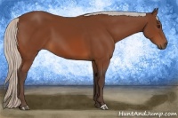 Horse Color:Silver Bay 