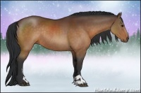 Horse Color:Brown Sabino Rabicano