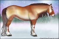 Horse Color:Chocolate Bay Onyx 