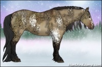 Horse Color:White Spotted Brown Ice Dun 