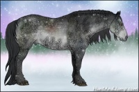 Horse Color:Brown Chinchilla Ice Sabino Rabicano 