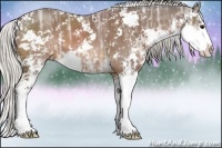 Horse Color:Silver Brown Ice Sabino 