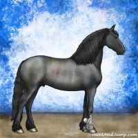 Horse Color:Black Rabicano 