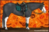 Horse Color:Blue Roan Splash 