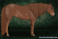Horse Color:Chestnut Frame