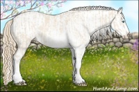 Horse Color:Perlino Sabino  and Perlino Sabino Frame 