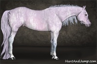 Horse Color:Watercolor Silver Bay Ice Dun