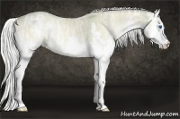 Horse Color:Watercolor Silver Perlino Ice Onyx Splash 