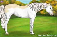 Horse Color:Silver Classic Champagne Dun Splash Frame 