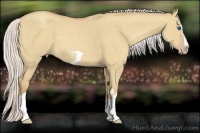 Horse Color:Silver Classic Champagne Dun Splash Frame 