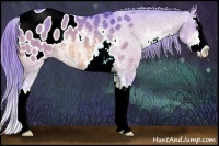 Horse Color:Watercolor Bay Dun Sabino Splash Appaloosa 