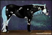 Horse Color:Watercolor Liver Chestnut Sabino Splash Appaloosa 