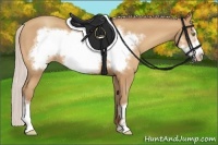 Horse Color:Silver Amber Champagne Frame 
