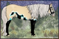 Horse Color:Silver Classic Champagne Dun Splash Frame 