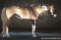 Horse Color:White Spotted Liver Red Onyx