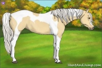 Horse Color:Silver Buckskin Dun Tobiano 