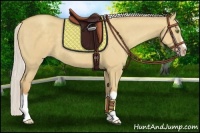 Horse Color:Silver Classic Champagne Dun Splash Frame 