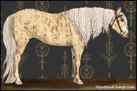 Horse Color:Chestnut and Palomino