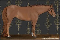 Horse Color:Chestnut Rabicano 
