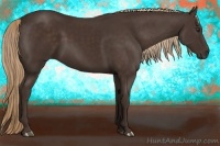 Horse Color:Liver Chestnut Rabicano 