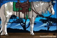 Horse Color:White Spotted Silver Black Ice Sabino Splash Rabicano 