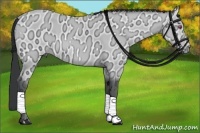 Horse Color:Bay Chinchilla Ice 