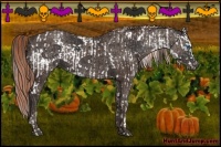 Horse Color:Black Frame  and Liver Chestnut Rabicano 