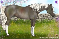 Horse Color:Liver Chestnut Rabicano