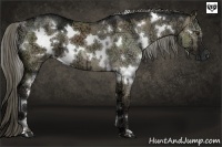 Horse Color:White Spotted Liver Red Dun Ice 