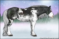 Horse Color:Silver Black Chinchilla Ice Sabino