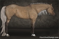 Horse Color:Silver Bay Dun