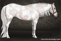 Horse Color:White Spotted Silver Brown Varnish 