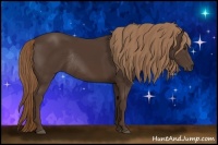 Horse Color:Liver Chestnut Rabicano 