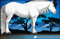 Horse Color:Liver Chestnut Appaloosa Rabicano 