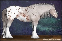 Horse Color:Bay Splash Frame Varnish 
