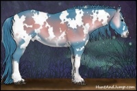Horse Color:Watercolor White Spotted Smoky Blue Onyx 