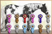 Horse Color:White Spotted Liver Chestnut Mushroom Rabicano 