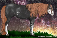 Horse Color:Liver Chestnut Sabino Rabicano