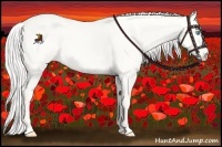 Horse Color:Silver Perlino Roan Dun 