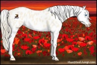 Horse Color:Perlino Dun Splash Appaloosa 