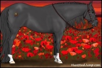 Horse Color:Smoky Black 