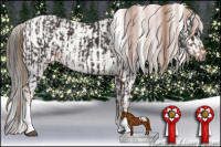 Horse Color:Liver Chestnut Tobiano Rabicano  and Buckskin Appaloosa 